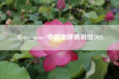 赣州中国金牌榜明细2021