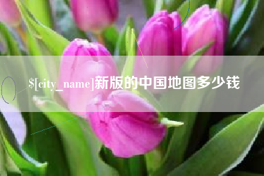 赣州新版的中国地图多少钱