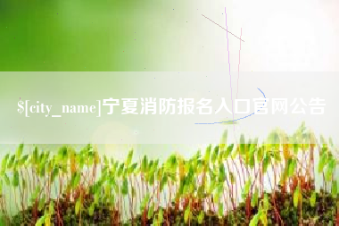 赣州宁夏消防报名入口官网公告