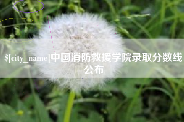 赣州中国消防救援学院录取分数线公布