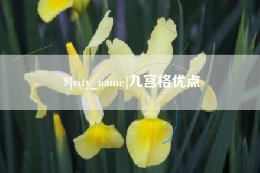 赣州九宫格优点