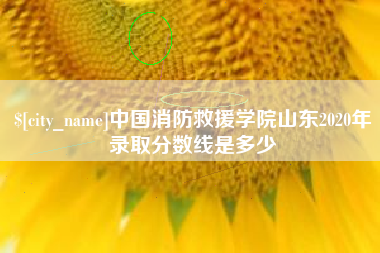 赣州中国消防救援学院山东2020年录取分数线是多少