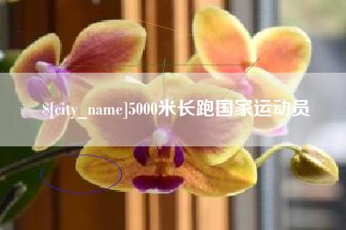 赣州5000米长跑国家运动员