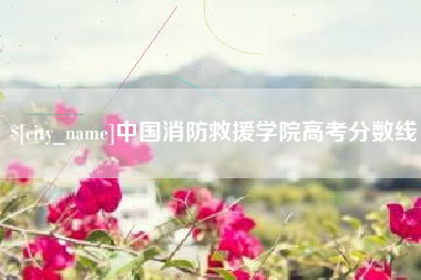赣州中国消防救援学院高考分数线