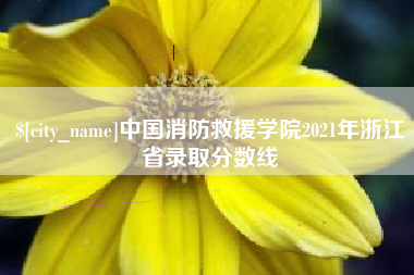 赣州中国消防救援学院2021年浙江省录取分数线