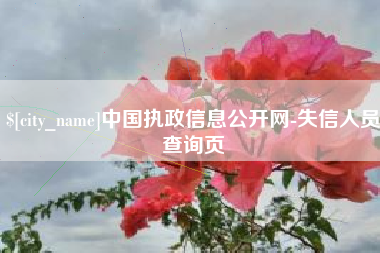 赣州中国执政信息公开网-失信人员查询页