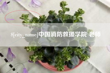 赣州中国消防救援学院 老师