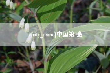 赣州中国第9金