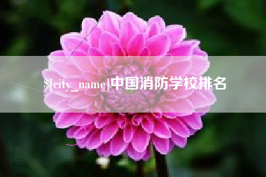 赣州中国消防学校排名