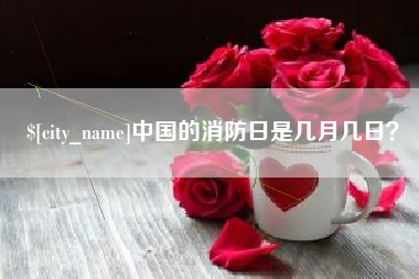 赣州中国的消防日是几月几日？