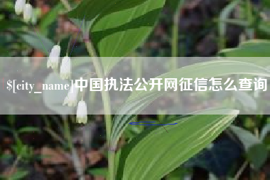赣州中国执法公开网征信怎么查询