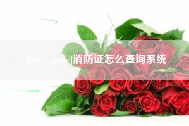 赣州消防证怎么查询系统