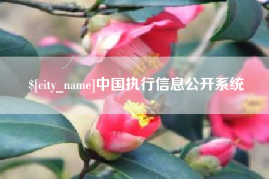 赣州中国执行信息公开系统