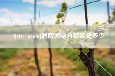 赣州消防大学分数线是多少