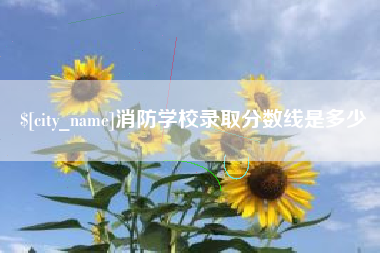 赣州消防学校录取分数线是多少