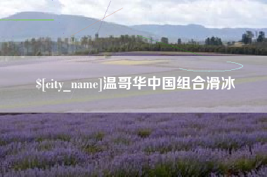 赣州温哥华中国组合滑冰
