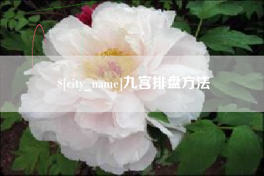 赣州九宫排盘方法