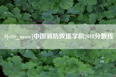 赣州中国消防救援学院2018分数线