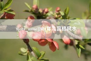 赣州2021年九宫格风水