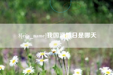 赣州我国消防日是哪天
