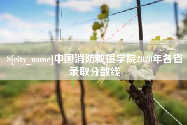 赣州中国消防救援学院2020年各省录取分数线