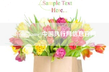 赣州中国执行网信息官网