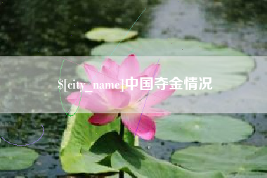 赣州中国夺金情况