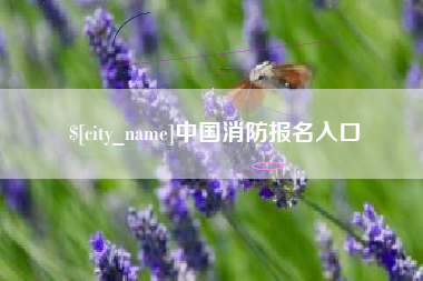 赣州中国消防报名入口