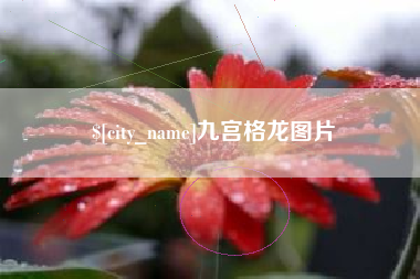 赣州九宫格龙图片