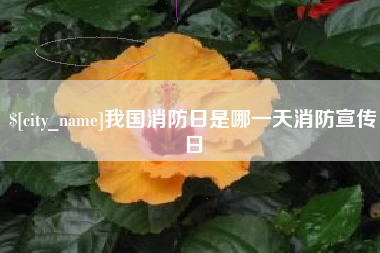 赣州我国消防日是哪一天消防宣传日