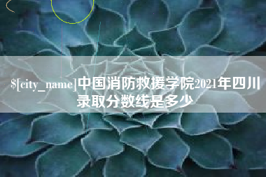 赣州中国消防救援学院2021年四川录取分数线是多少