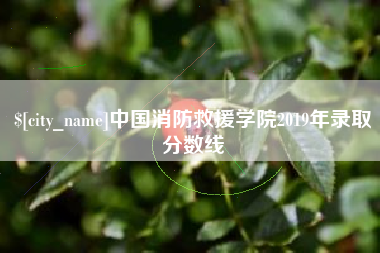 赣州中国消防救援学院2019年录取分数线