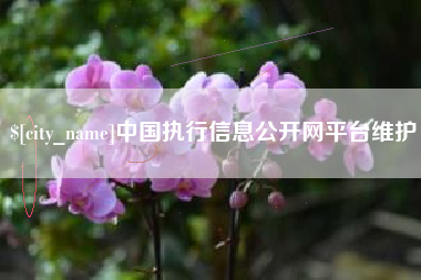赣州中国执行信息公开网平台维护