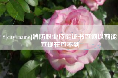 赣州消防职业技能证书查询以前能查现在查不到