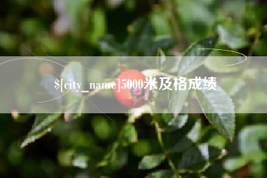 赣州5000米及格成绩