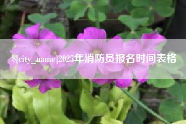赣州2025年消防员报名时间表格