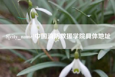 赣州中国消防救援学院具体地址