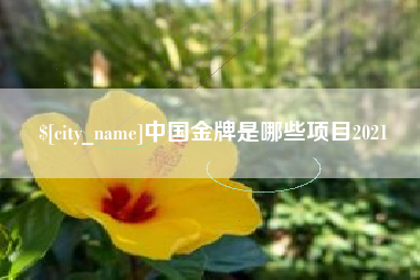 赣州中国金牌是哪些项目2021