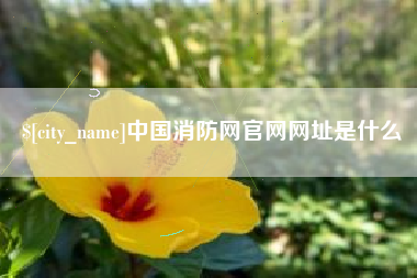 赣州中国消防网官网网址是什么