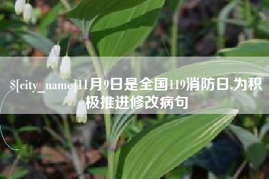 赣州11月9日是全国119消防日,为积极推进修改病句