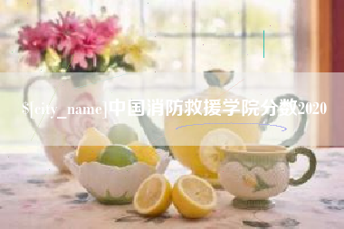 赣州中国消防救援学院分数2020