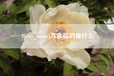 赣州九金指的是什么