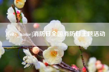 赣州消防日全国消防日主题活动