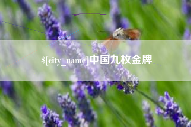 赣州中国九枚金牌
