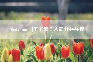 赣州王子豪个人简介乒乓球
