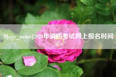 赣州2020年消防考试网上报名时间