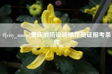 赣州重庆消防设施操作员证报考条件