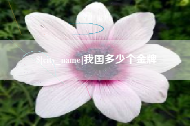 赣州我国多少个金牌
