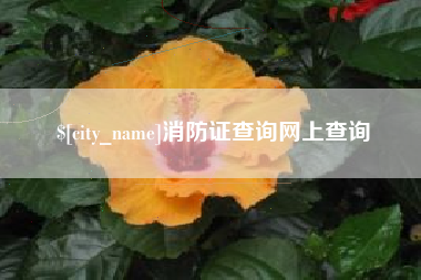 赣州消防证查询网上查询