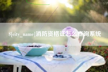赣州消防资格证怎么查询系统